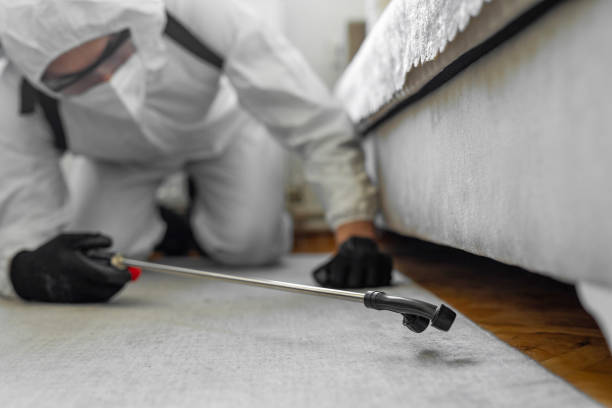 Professional Bed Bug Control technician working in Cool Valley, MO